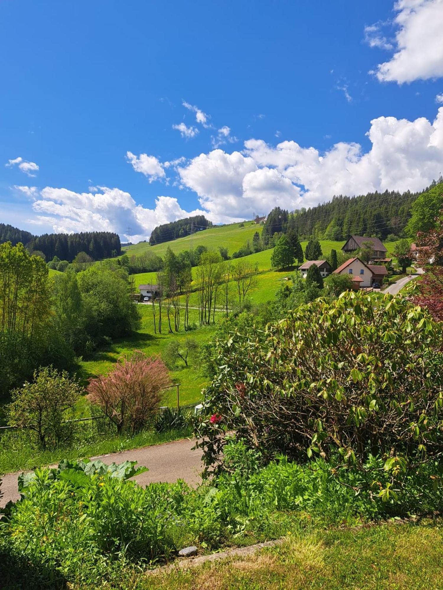 Baumgartner - Bauernhaus Weißkirchen in Steiermark Extérieur photo